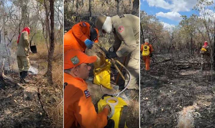 Ação de combate às queimadas avança em municípios maranhenses