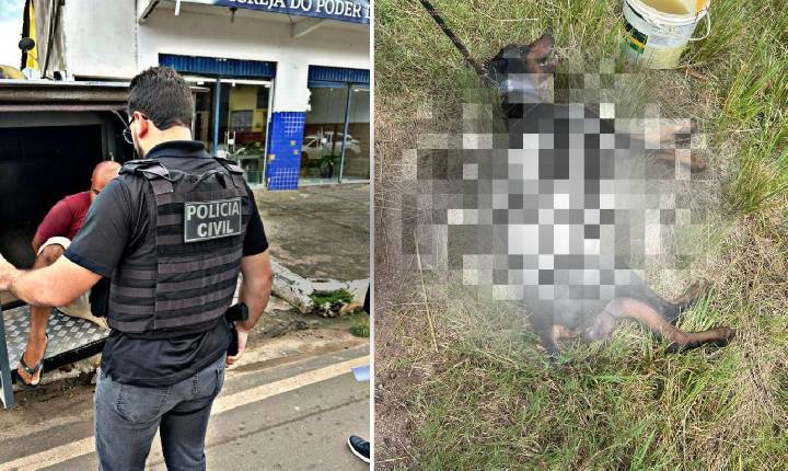 Homem é preso após arrastar cachorro até a morte no Maranhão