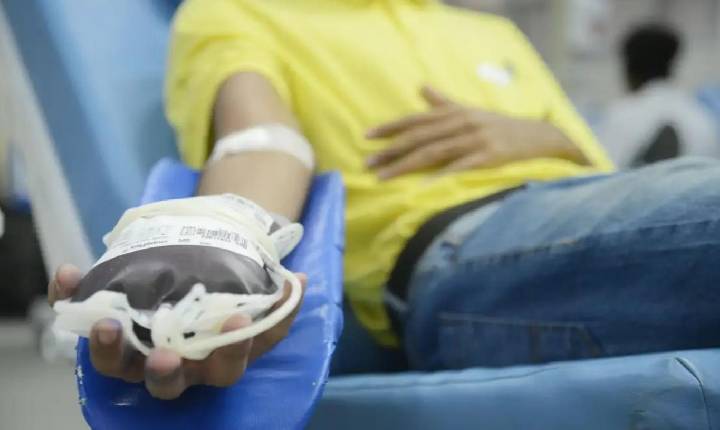 Novas regras para doação de sangue no país entram em vigor em outubro