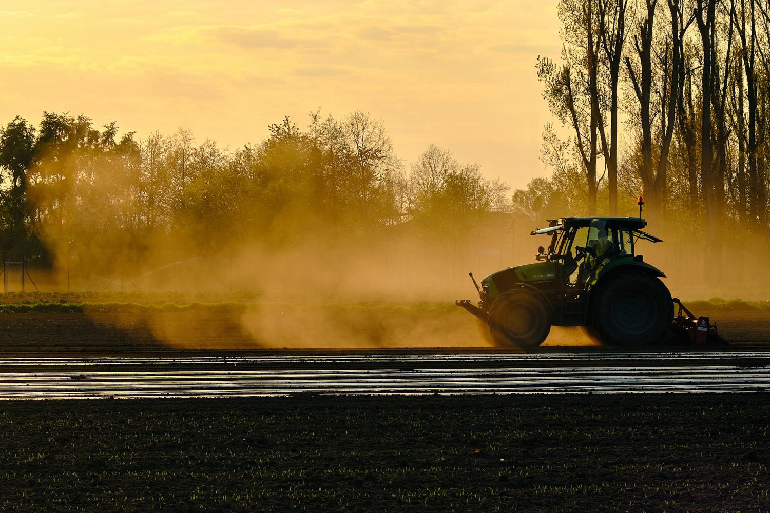 Amazônia: Brasil e Alemanha fazem cooperação para produção sustentável